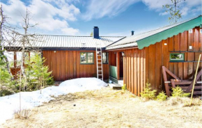 Stunning home in Sjusjøen with 3 Bedrooms